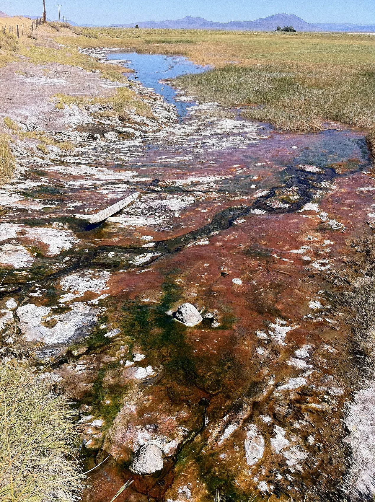 Mineral-coloured thermal runoff at Alvord Hot Springs (archive photograph)