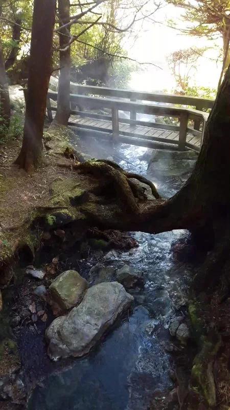 Steaming spring stream and footbridge at Hot Springs Cove (archive photograph)